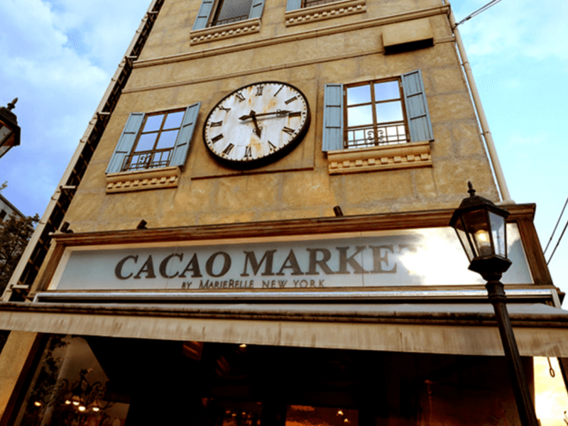 cacoa market